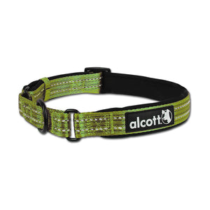 Alcott Martingale Training Dog Collar with Reflective Stitching and Neoprene Padding - RS Solutions