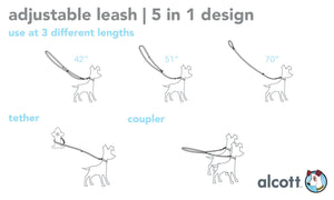 Adjustable Reflective Nylon Dog Lead 